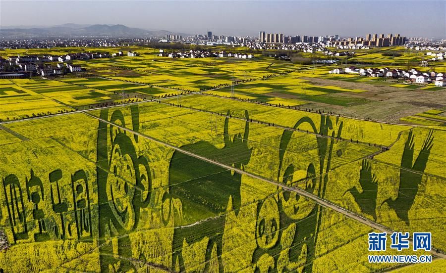 “秦岭四宝”“现身”万亩油菜花海